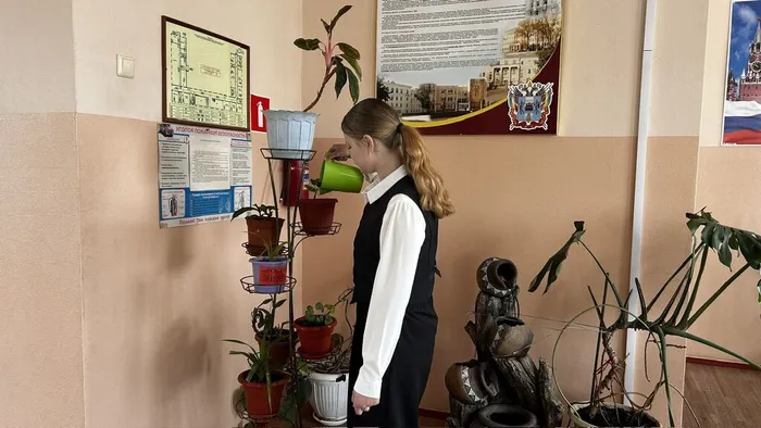 share-photo-13666567147