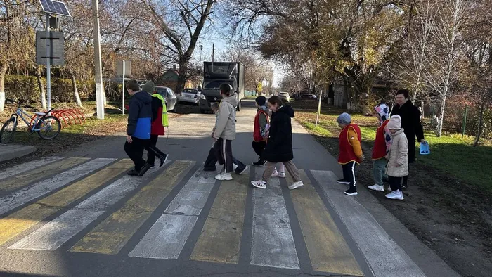 image-14-11-25-11-50-3