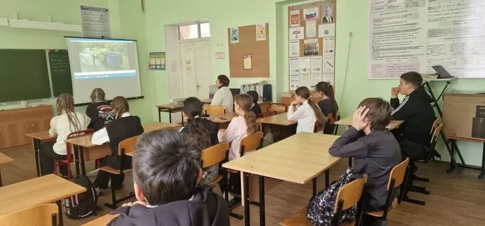 1d7edd28-c518-49d3-9332-953e87f2f2c8