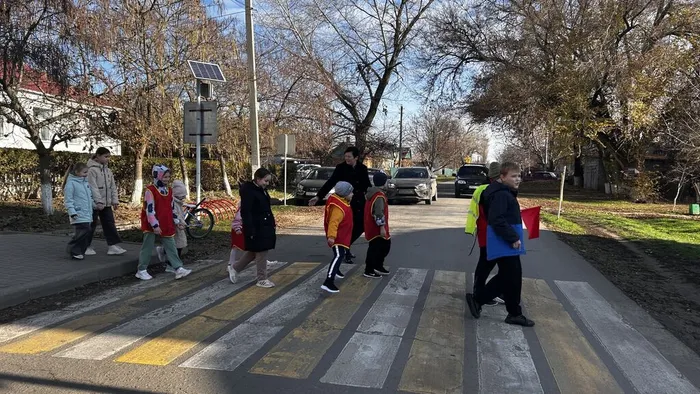 image-14-11-25-11-50-6